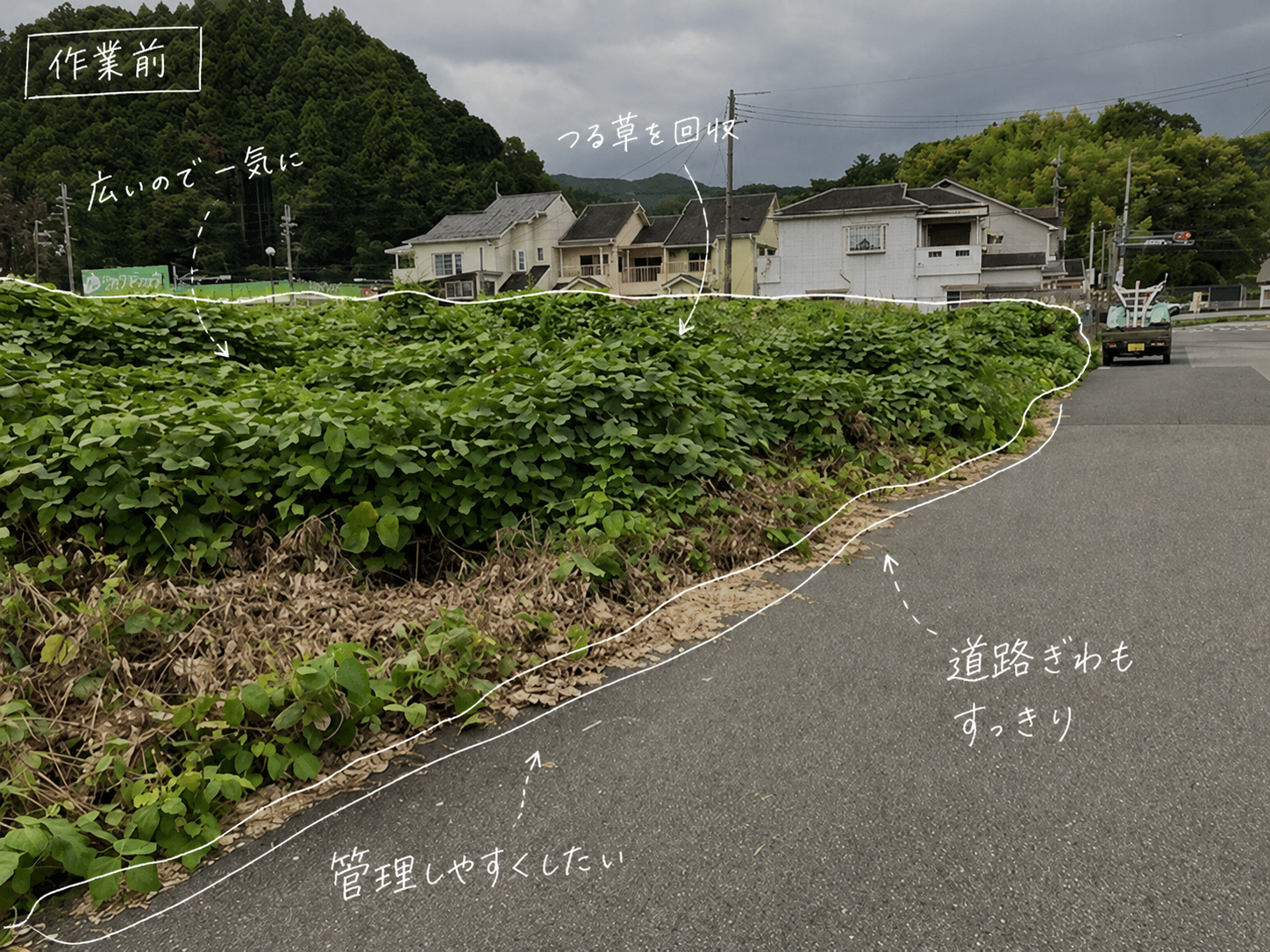 つる草が伸びた広い敷地の草刈り前写真